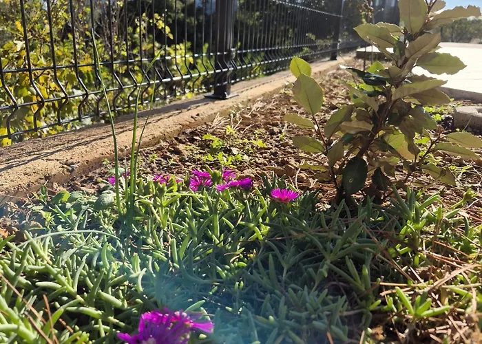 Natalija1 -krk * Krk Town